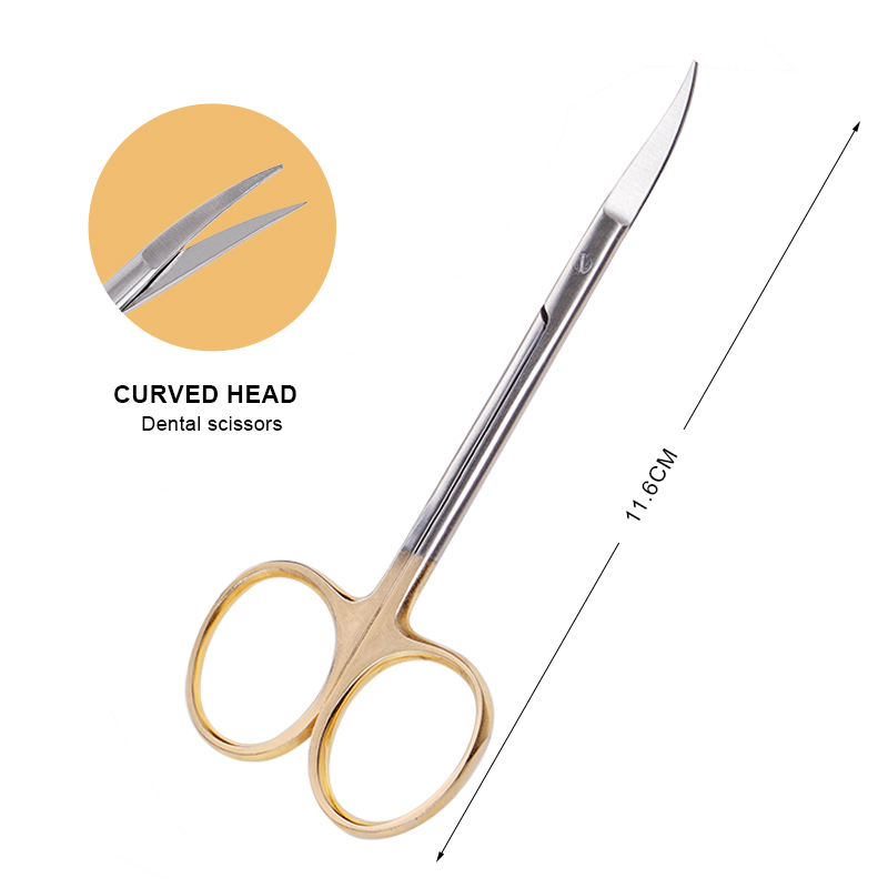 Dental Stainless Steel Medical - Hair Care Barber 리뷰 및 가격