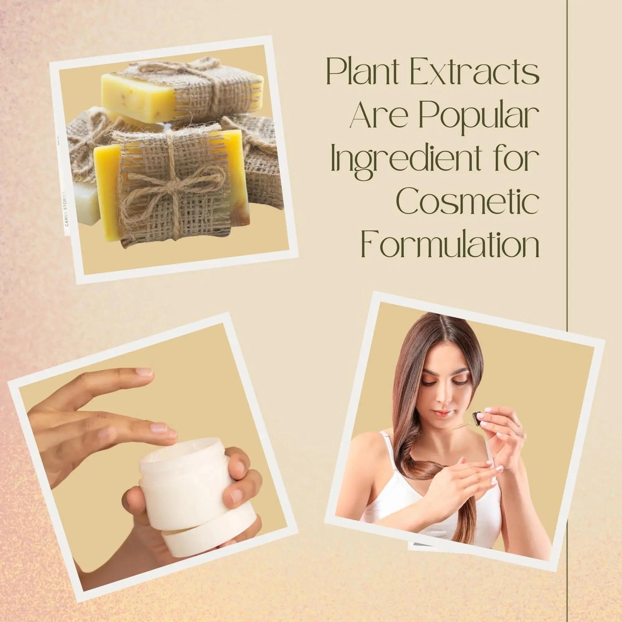 High Quality Soapberry Extract - Hair Care For Hair Loss 리뷰 및 가격