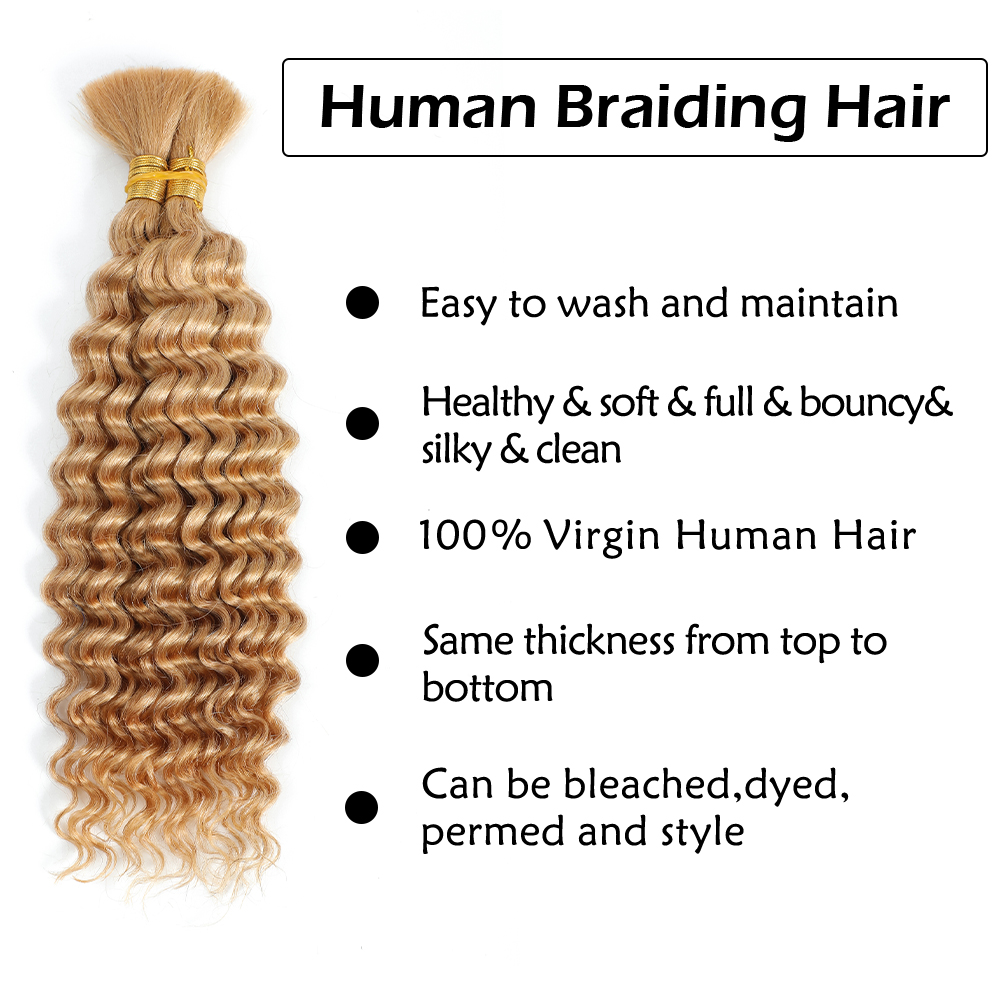 Human Braiding Hair 2Bundle 10 - Hair Care Barber 리뷰 및 가격
