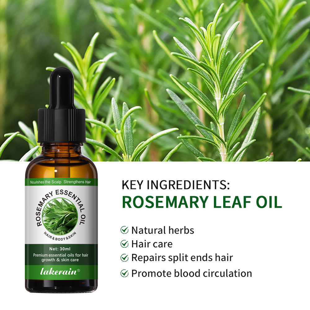 30ML Rosemary Hair Care Oil An - Hair Care For Hair Fall 리뷰 및 가격