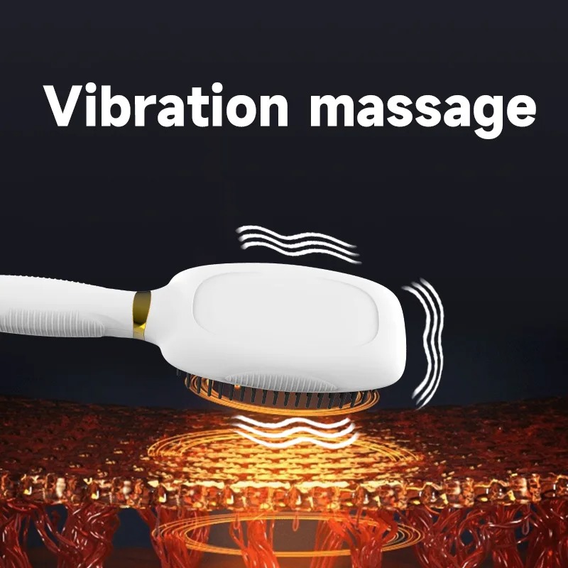 Electric Anti static Hair Comb - Hair Care For Hair Growth 리뷰 및 가격