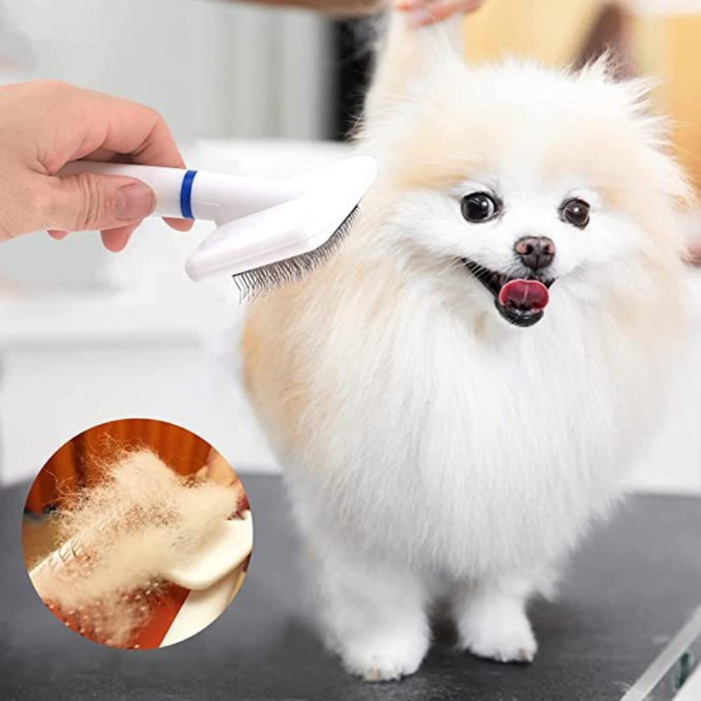 Pet Grooming Brush Self Cleani - Hair Care Is Self Care 리뷰 및 가격
