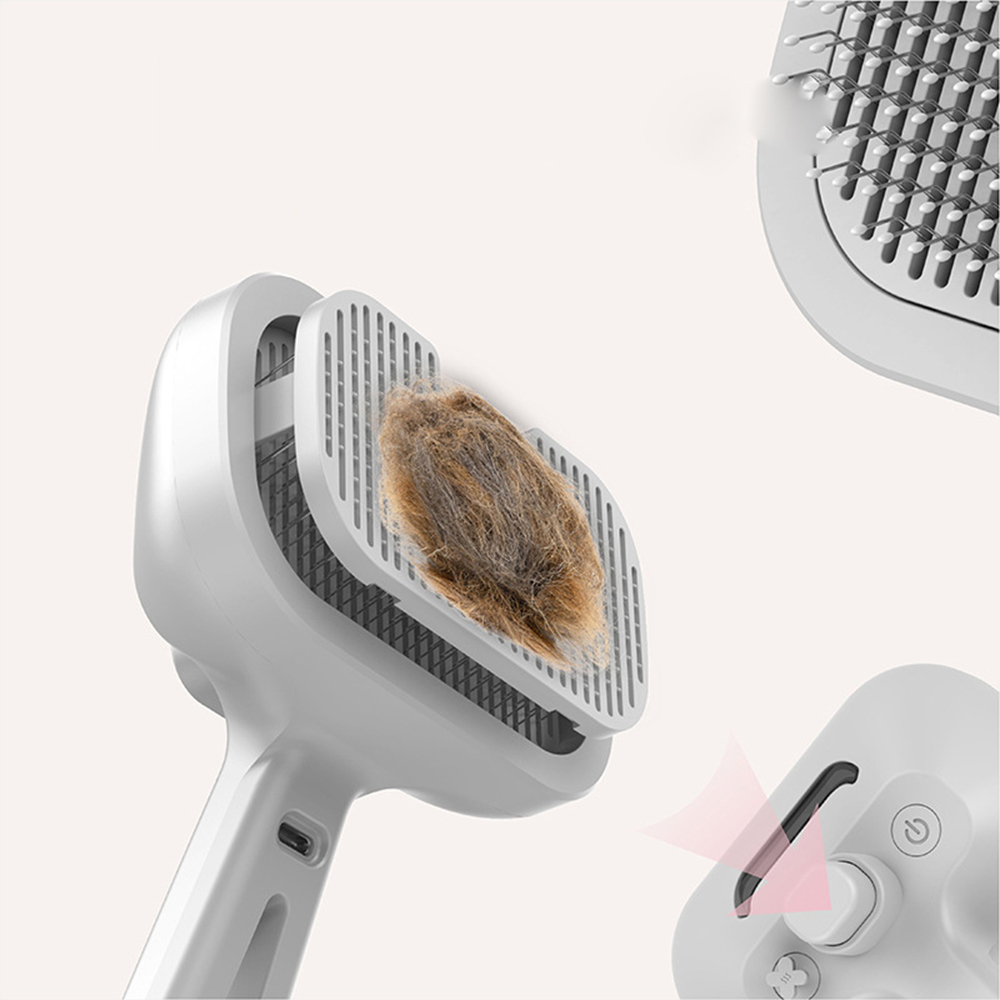 Type-c Rechargeable Pet Spray  - Hair Care Is Self Care 리뷰 및 가격